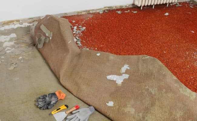 Carpet Removal