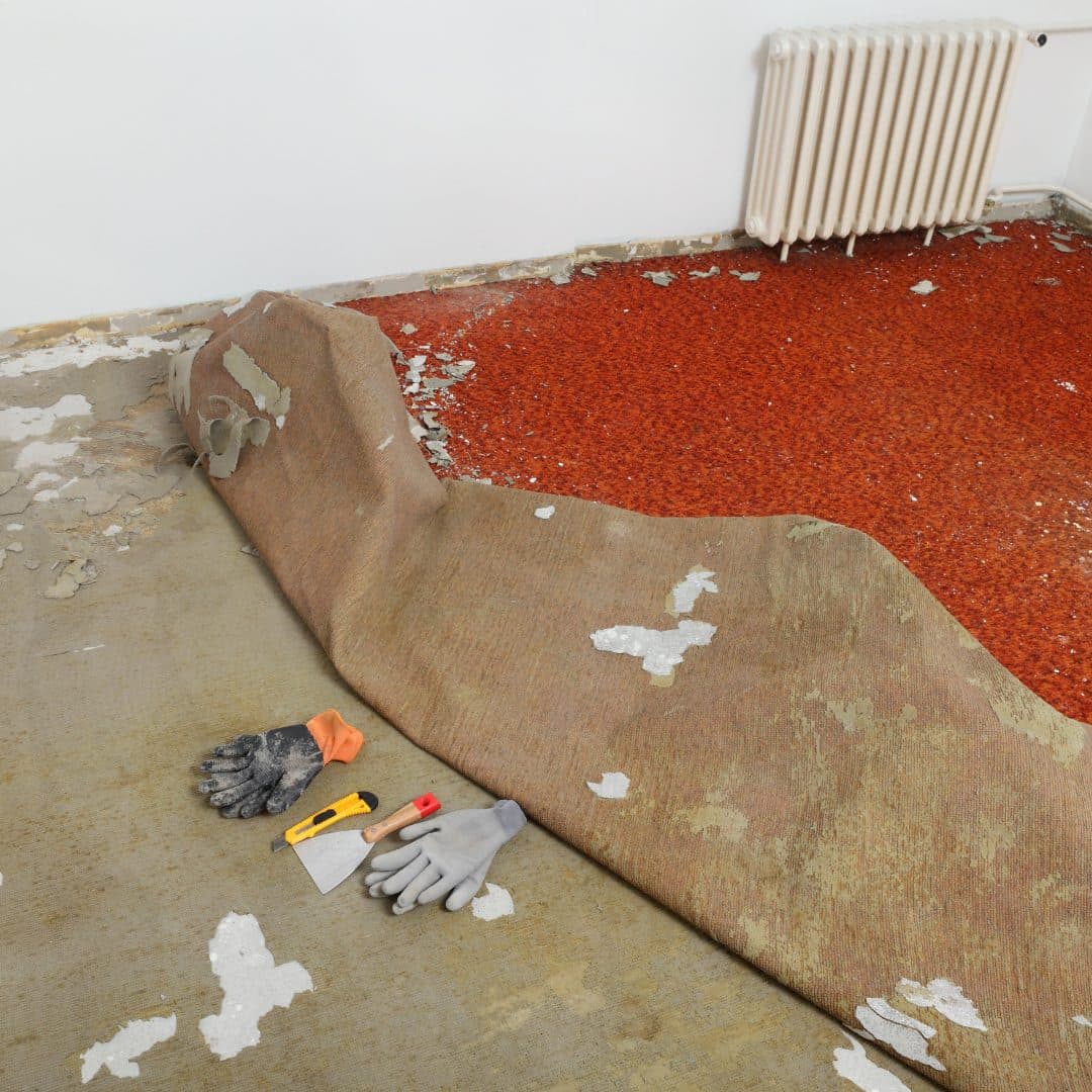 Carpet Removal