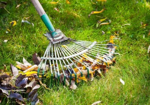 Green Solutions for a Clean Yard