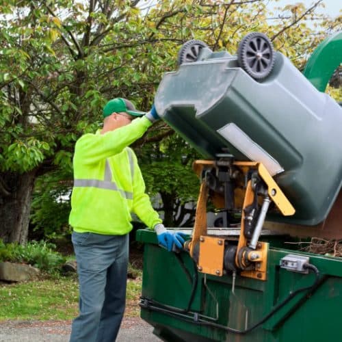Yard Waste Removal