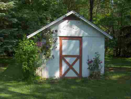 Small Shed Removal