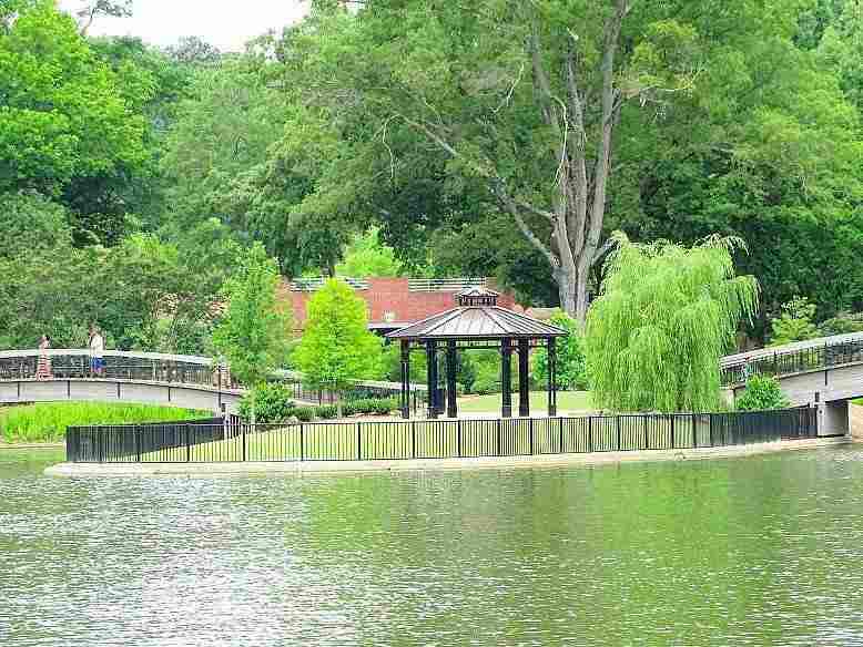 Landscaping & Lawn Care