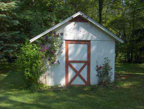 image - 2025-10-16T114457.024